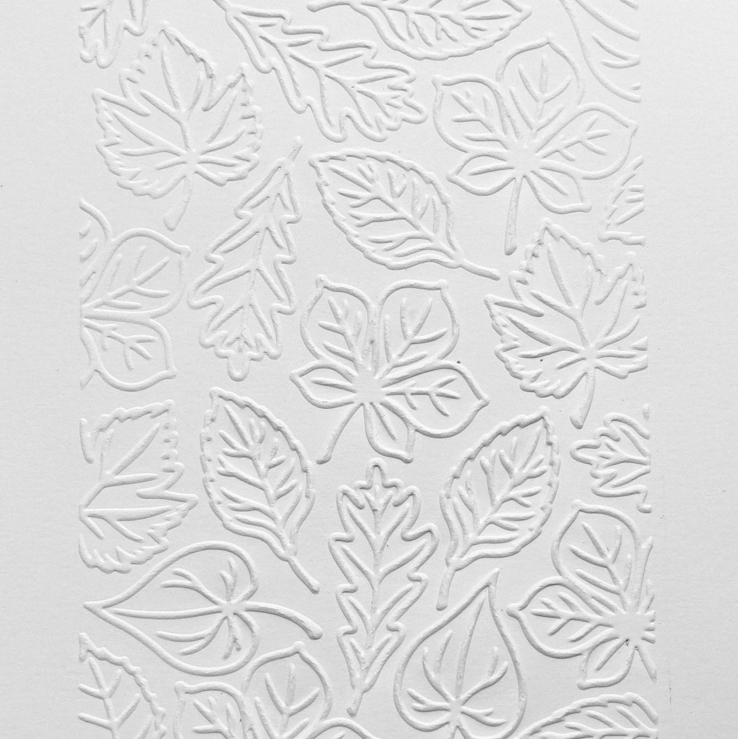 Leaves Outline