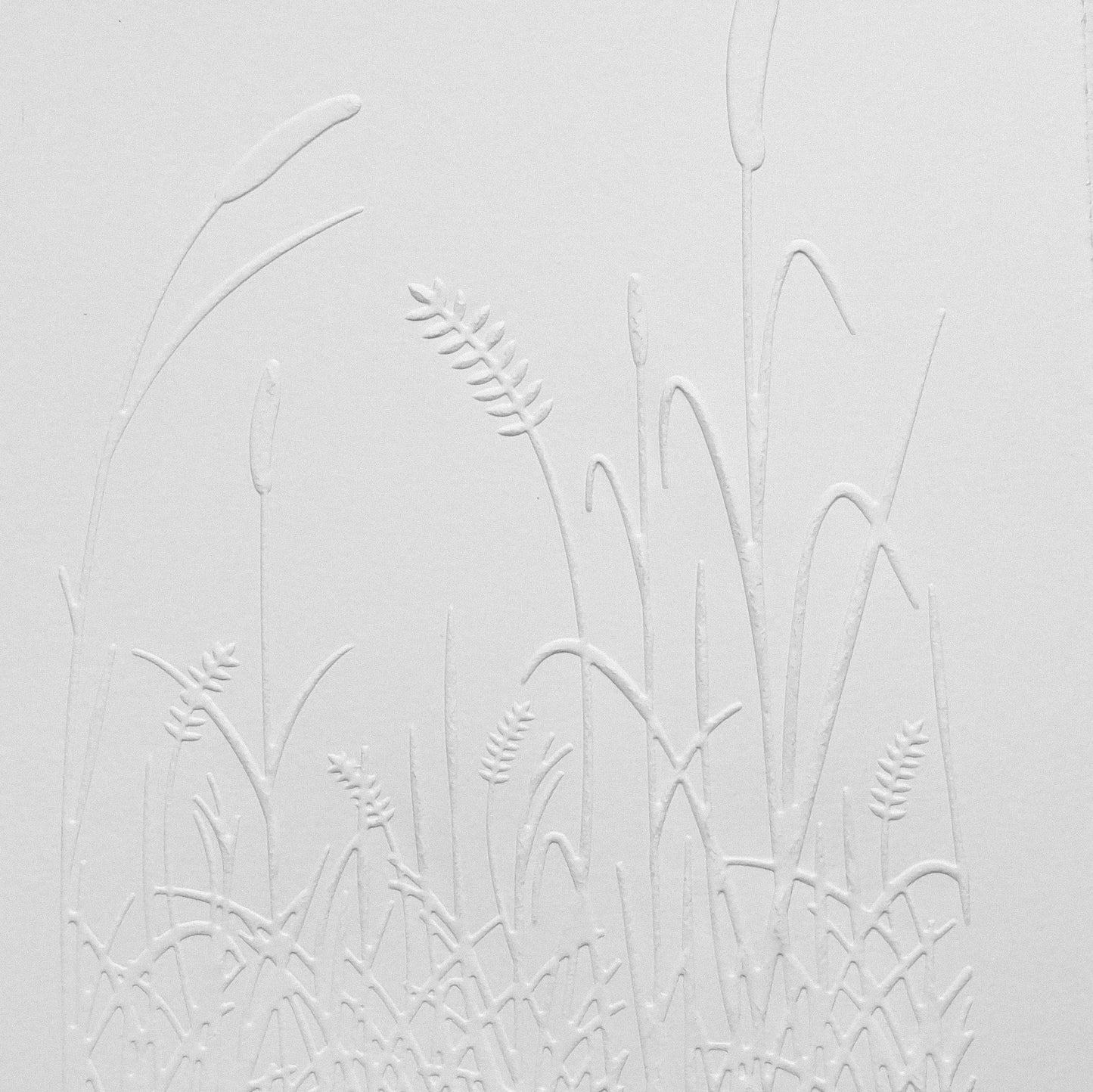 Grass