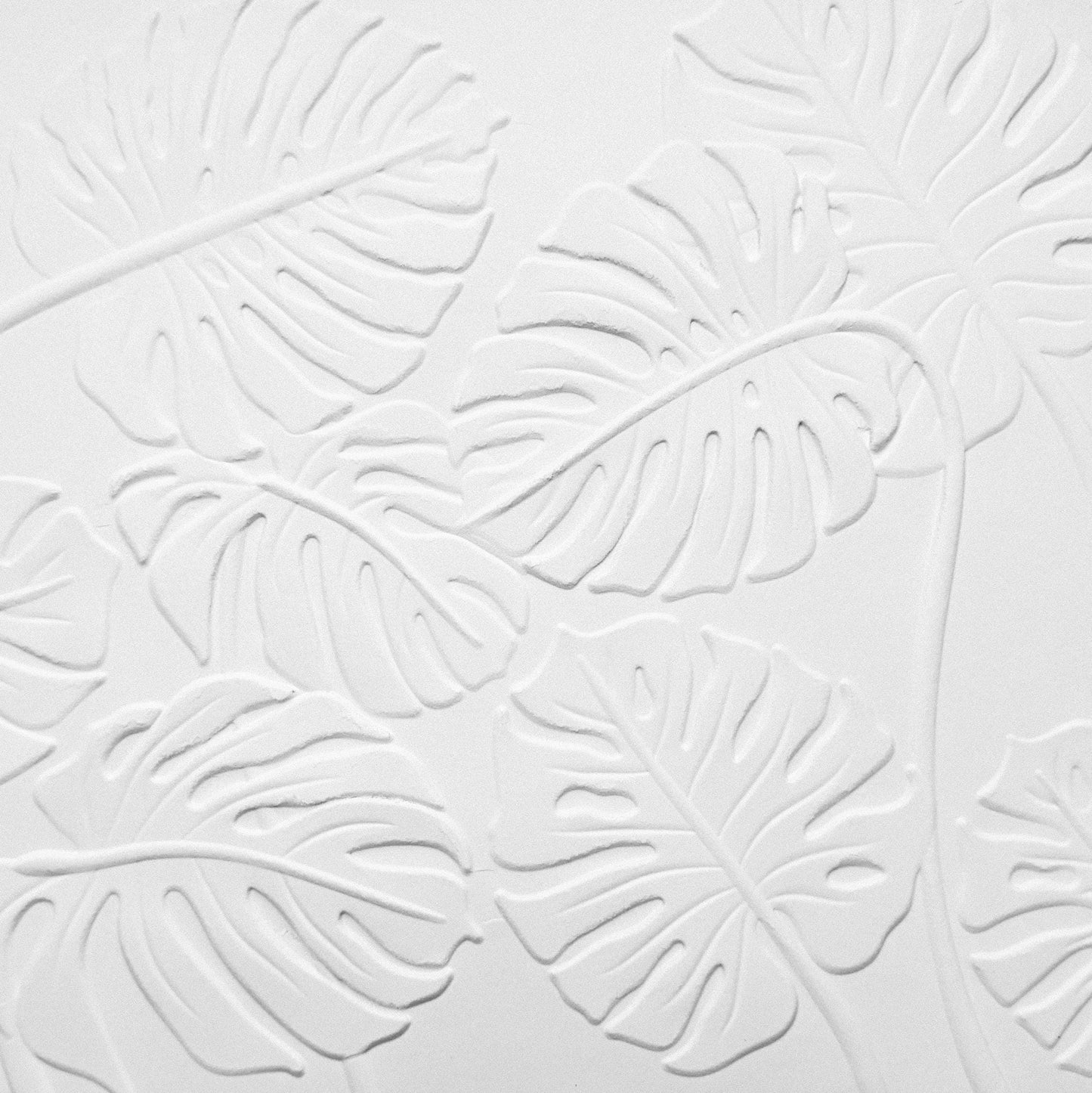Monstera Leaves