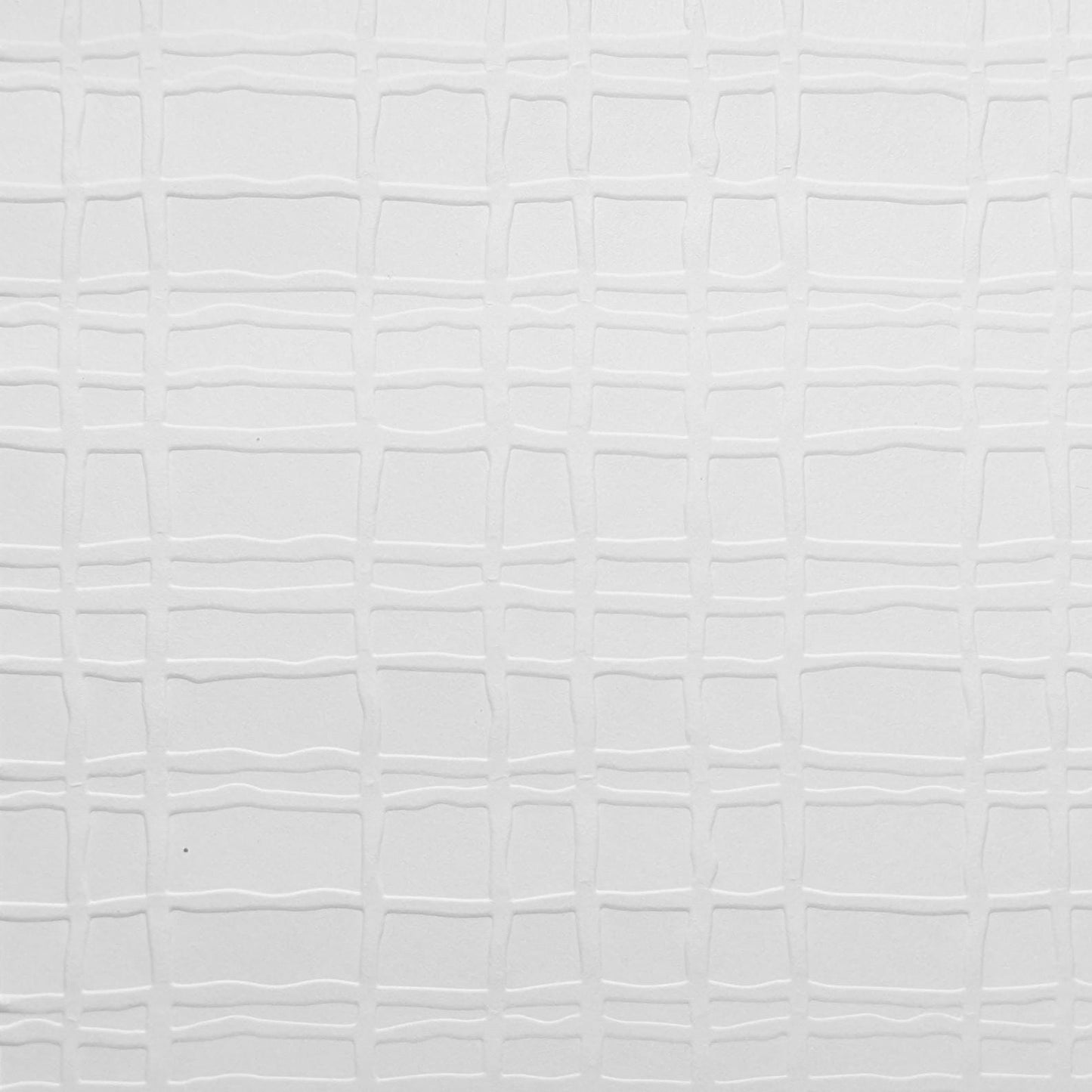 Hand Drawn Lines