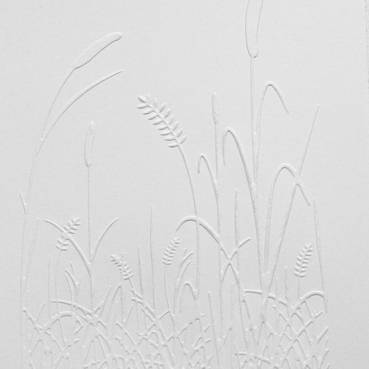Grass