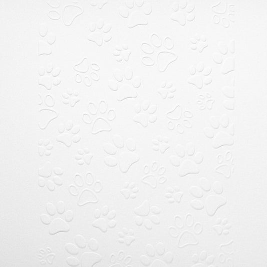 Paw Prints