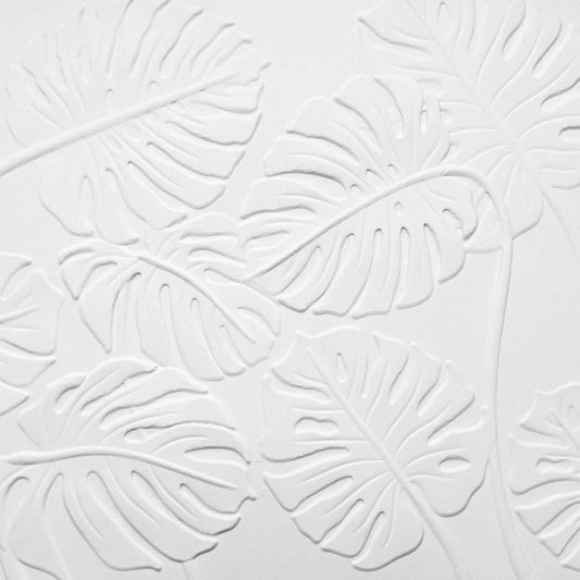 Monstera Leaves