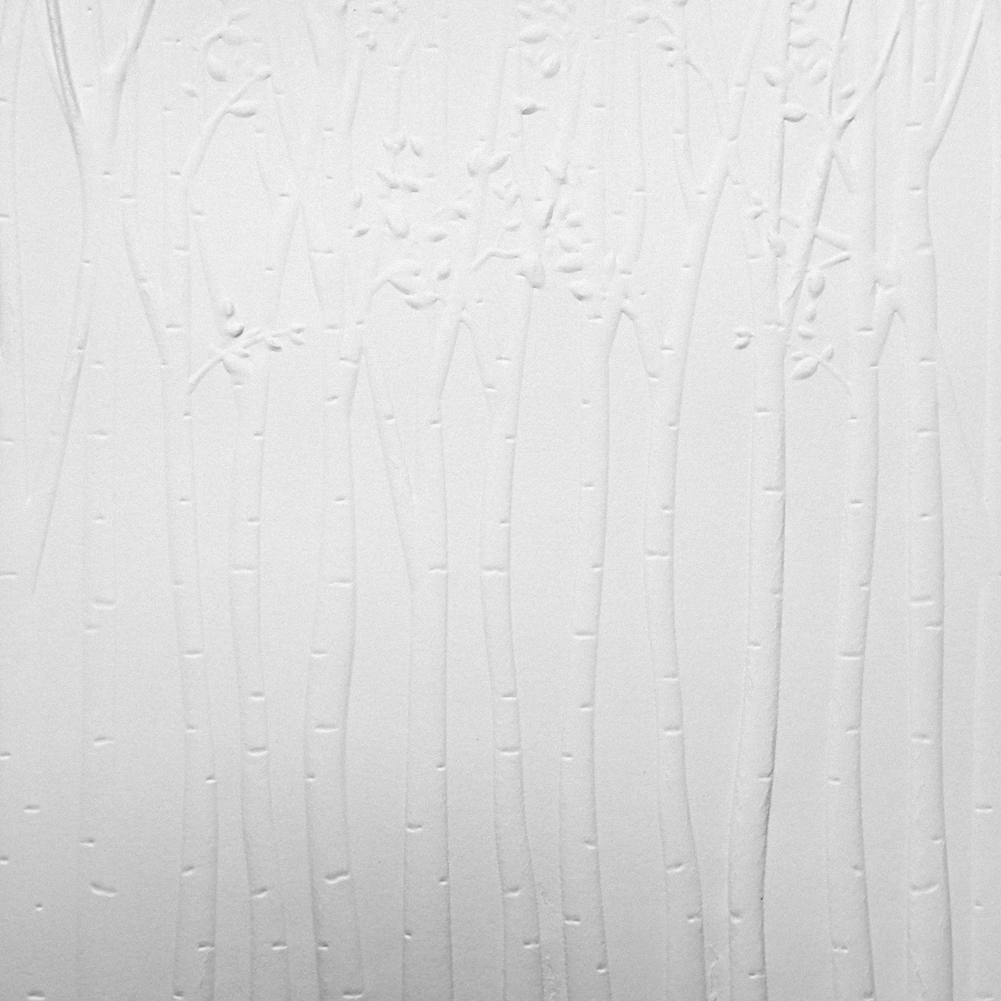 Birch Trees